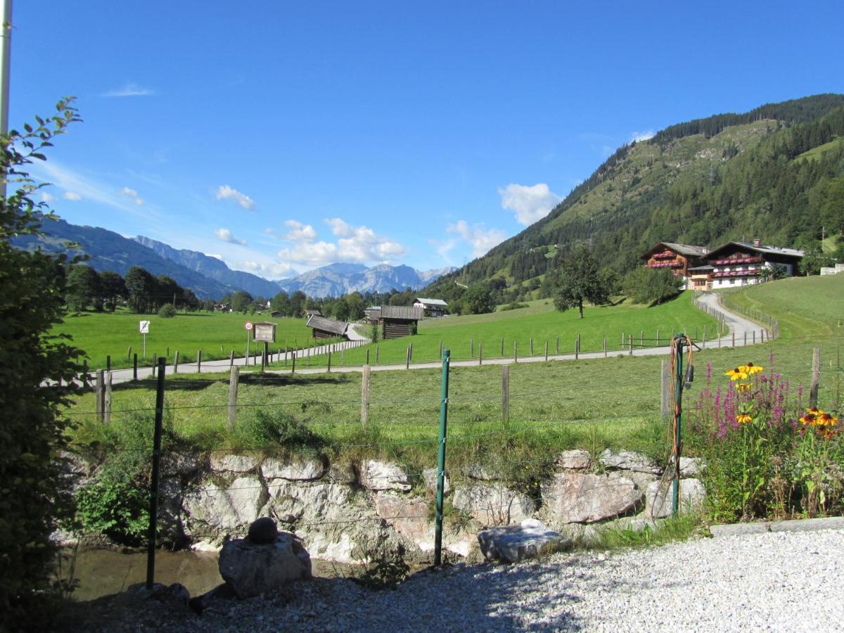Gartenwohnung Robinigg Maishofen Exterior photo